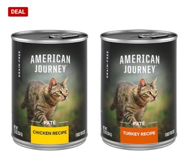 Celebrate Independence Day with the Best Fourth of July Deals on Cat Products