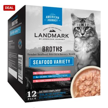 Celebrate Independence Day with the Best Fourth of July Deals on Cat Products