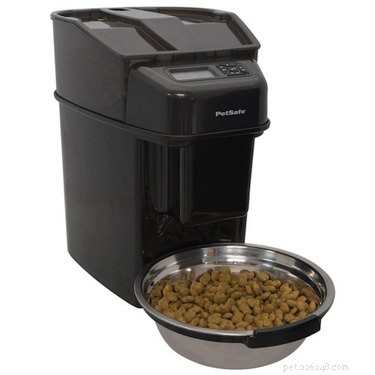 Celebrate Independence Day with the Best Fourth of July Deals on Cat Products