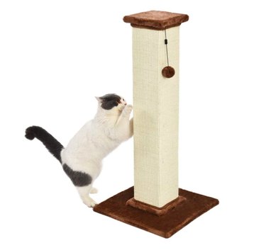 Amazon Prime Day 2021: Exclusive Savings on Cat Products