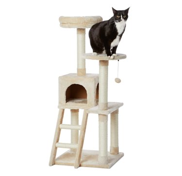 Amazon Prime Day 2021: Exclusive Savings on Cat Products