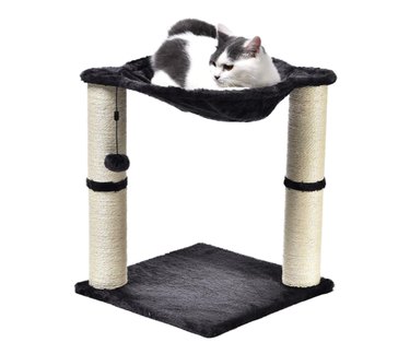 Amazon Prime Day 2021: Exclusive Savings on Cat Products