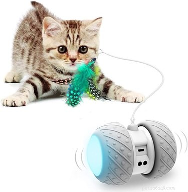Amazon Prime Day 2021: Exclusive Savings on Cat Products