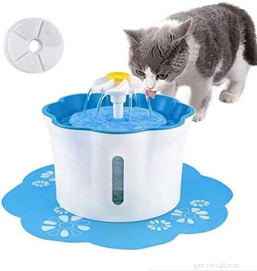 Amazon Prime Day 2021: Exclusive Savings on Cat Products