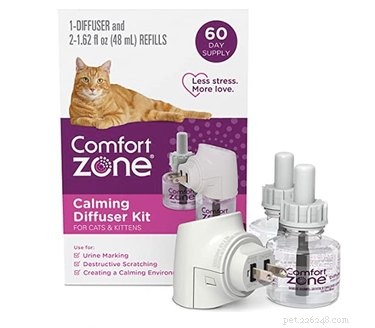 Amazon Prime Day 2021: Exclusive Savings on Cat Products