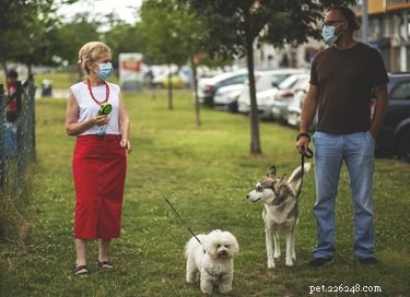 How Face Masks Influence Your Pet’s Perception and Bonding