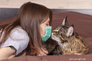 How Face Masks Influence Your Pet’s Perception and Bonding