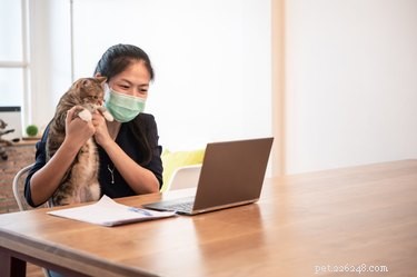 How Face Masks Influence Your Pet’s Perception and Bonding