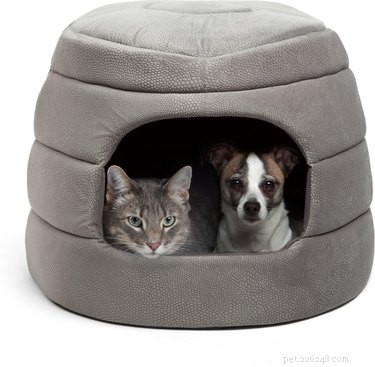 Top 7 Cat Caves for Ultimate Comfort & Sleep