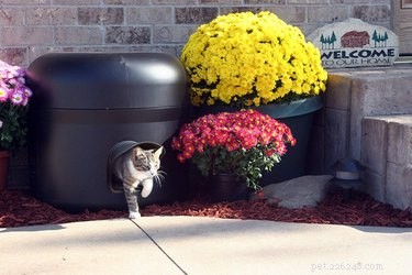 Top 7 Cat Caves for Ultimate Comfort & Sleep