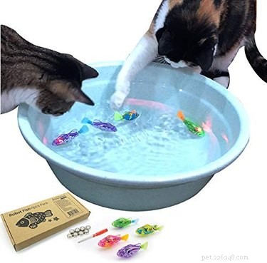7 Interactive Cat Toys to Keep Your Feline Engaged While You Work From Home