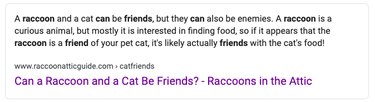 Are Cats and Raccoons Real Friends or Rivals? Uncovering the Truth