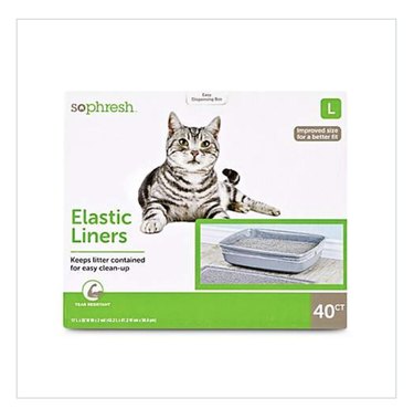 Top 10 Essential Litter Box Accessories Every Cat Owner Should Have
