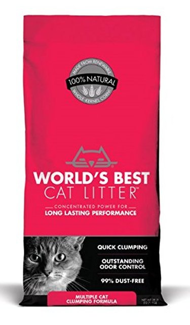 Top 10 Natural Cat Litters for a Healthier, Happier Feline
