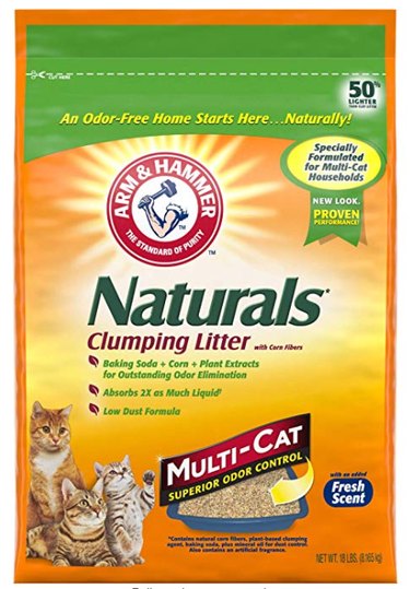 Top 10 Natural Cat Litters for a Healthier, Happier Feline