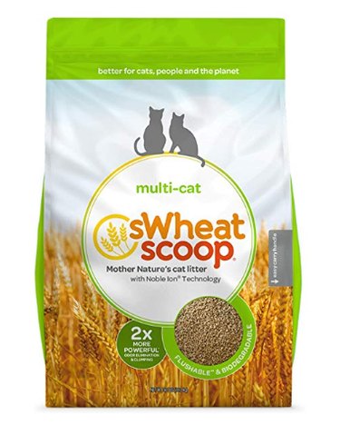 Top 10 Natural Cat Litters for a Healthier, Happier Feline