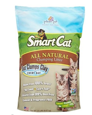 Top 10 Natural Cat Litters for a Healthier, Happier Feline