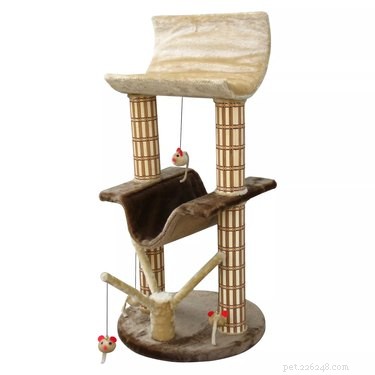 Top 5 Cat Trees to Satisfy Every Cat’s Climbing Instinct