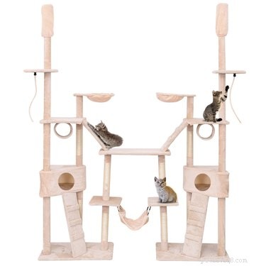Top 5 Cat Trees to Satisfy Every Cat’s Climbing Instinct