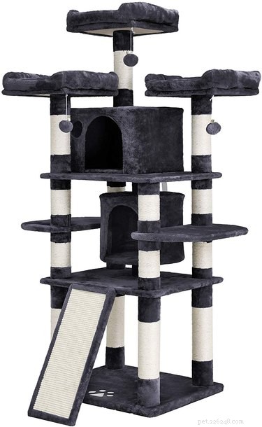 Top 5 Cat Trees to Satisfy Every Cat’s Climbing Instinct