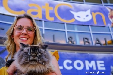 10 Must-See Highlights at CatCon 2019