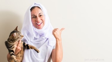 Do Cats Truly Sense Human Emotions? Discover the Truth