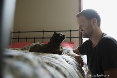Age and Education Influence Human‑Cat Communication: Insights from a Budapest Study