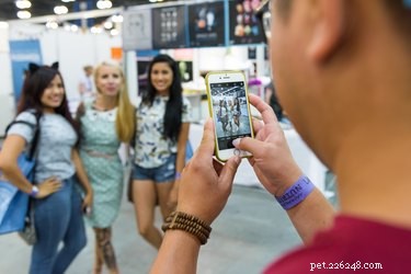 10 Must-See Highlights at CatCon 2018