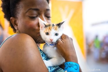 10 Must-See Highlights at CatCon 2018
