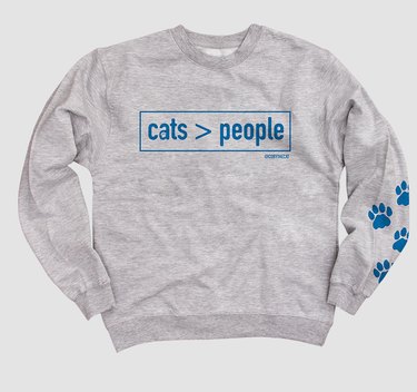 10 Must-See Highlights at CatCon 2018