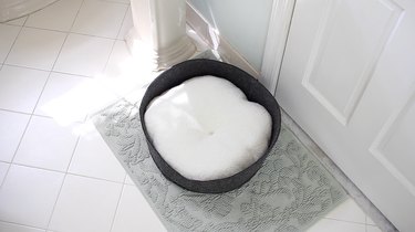 8 Essential Steps to Prepare Your Home for a Newly Adopted Cat