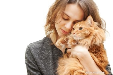 Do Cats See Us as Mother Figures? Unpacking the Truth