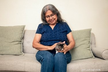 Do Cats See Us as Mother Figures? Unpacking the Truth