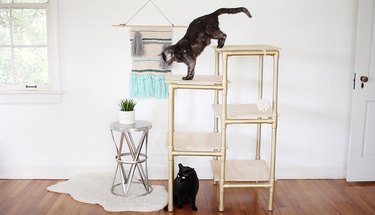 DIY Modern Cat Tree with PVC Pipe – Stylish, Affordable, and Easy