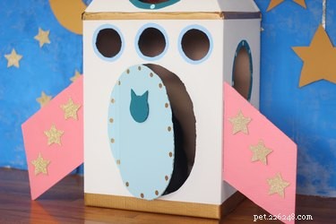 DIY Cardboard Rocket Ship for Your Cat – Quick & Easy Cat-Friendly Toy