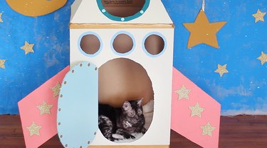 DIY Cardboard Rocket Ship for Your Cat – Quick & Easy Cat-Friendly Toy