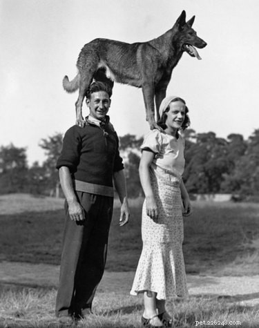 12 Surprising Facts About Pets in the Early 20th Century