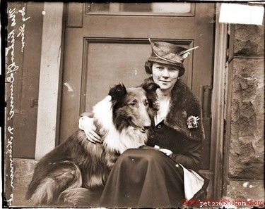 12 Surprising Facts About Pets in the Early 20th Century