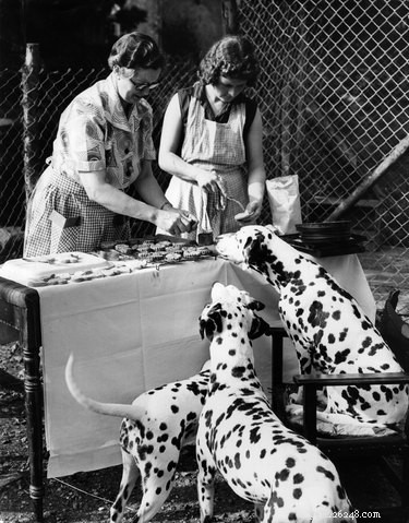12 Surprising Facts About Pets in the Early 20th Century