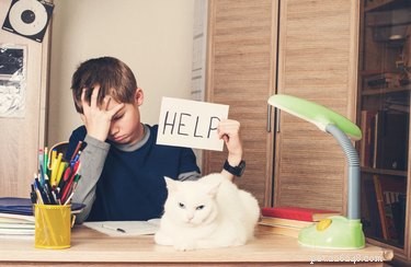 The Enduring Appeal of Pets: Why We Keep Adopting Them Despite Cost & Stress