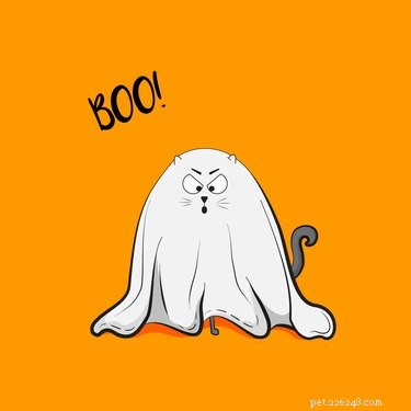 Do Cats Truly Spot Ghosts? Uncovering the Truth Behind the Myth