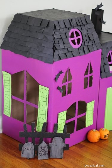 Create a Spooky Pet House from Cardboard Boxes for Halloween