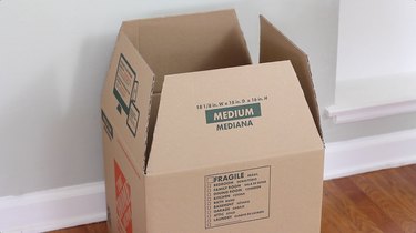 Create a Spooky Pet House from Cardboard Boxes for Halloween