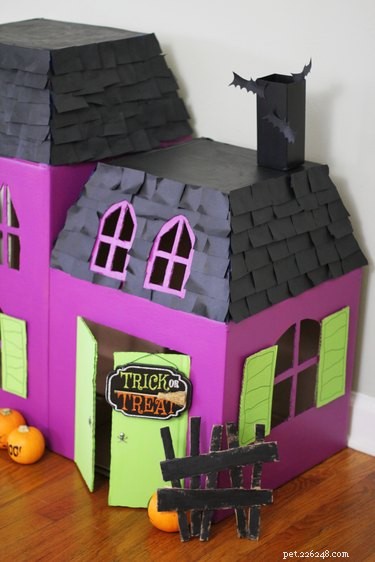 Create a Spooky Pet House from Cardboard Boxes for Halloween