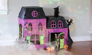 Create a Spooky Pet House from Cardboard Boxes for Halloween