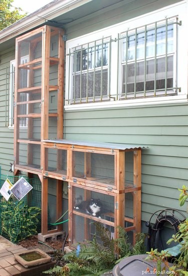 Catio 2017: 4 Essential Insights into the Hottest Cat Enclosure