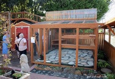 Catio 2017: 4 Essential Insights into the Hottest Cat Enclosure