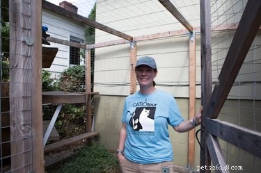 Catio 2017: 4 Essential Insights into the Hottest Cat Enclosure