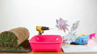 Build a Mini Indoor Garden for Your Cat: Easy DIY Guide