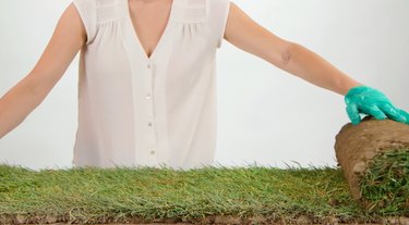 Build a Mini Indoor Garden for Your Cat: Easy DIY Guide